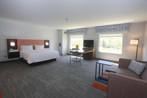 Hampton Inn By Hilton Owego NY image 7